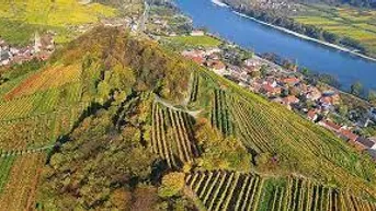 Expose Wachau: einzigartiger kl. Weingarten in Aussichtslage - mit Betreuung