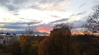 Expose Ruhiges Apartment möbliert in Lochau für 6 Monate oder Langzeitmiete