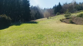 Expose Das Beste vom Besten, traumhaftes Weitblickgrundstück