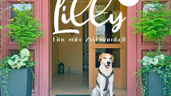 Expose Lilly Eine süße Zweisamkeit