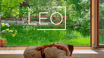 Expose Ich will dein LEO sein