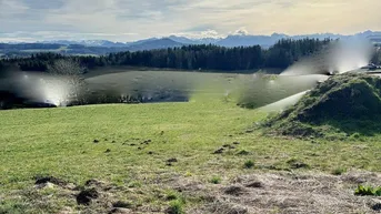 Expose Traumhafte Eigenheim-Lage: Grundstück am Ortsrand von Kirchberg bei Mattighofen