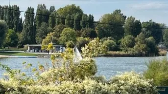Expose HERRLICHER BLICK AUF DIE ALTE DONAU