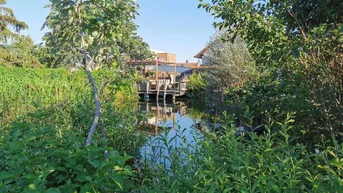 Expose Verbunden mit der Natur!! Sonnige Wohlfühloase mit Schwimmteich und einem großzügigen Wohnhaus