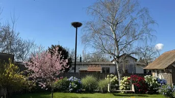 Expose Gemütliches Einfamilienhaus mit sonnigem Garten und Halle