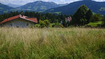 Expose Hanggrundstück in sonniger Panoramalage - Hopfgarten im Brixental