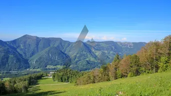 Expose Vielseitiges Tourismusobjekt - Einmaliges Anwesen auf 1200 m im Almtal