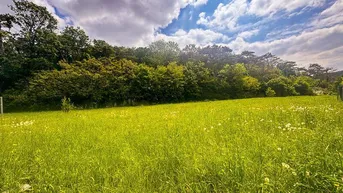 Expose VILLENGRUNDSTÜCK in AUSSICHTS- u. RUHELAGE