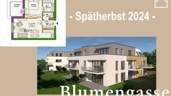 Expose Blumengasse - Bauteil B | Neubauprojekt | 2 Zimmer Wohnung - 2.OG | Terrasse | Belagsfertig | Tiefgaragenstellplatz optional | Spätherbst 2024 (Top B9a)