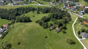 Expose Suchen - Landwirtschaft - Landsitz - großes Baugrundstück für vorgemerkten Kunden in Lieboch, Lannach oder Dobl!