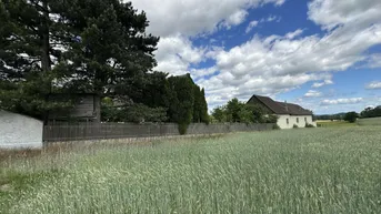 Ländliche Ansicht eines Feldes mit einem traditionellen Gebäude im Hintergrund unter blauem Himmel.