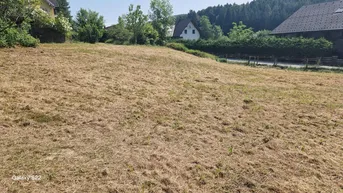 Expose Waldrandgrundstück in Hitzendorf bei Graz sofort verfügbar
