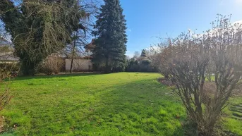 Weitläufige Rasenfläche des Gartens, umgeben von Bäumen und Sträuchern an einem sonnigen Tag.