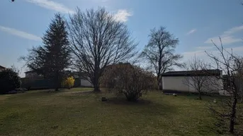 Großer, sonniger Garten mit Rasenfläche und verschiedenen Bäumen im Frühling.