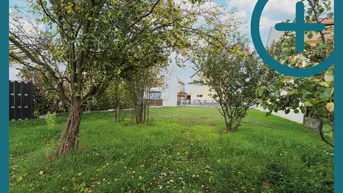 Expose Unberührtes Juwel bei der Lobau