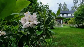 Expose Charmantes Landhaus - Nähe Graz - ländliche Idylle **Ihr Traumhaus mit 1936m² Grund**