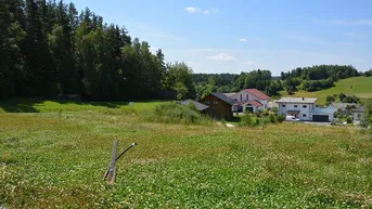 Expose Siedlung in Etzen - Baugrund Parzellen Nr. 1078/6