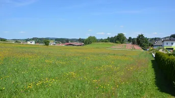 Expose Pletzensiedlung - Baugrund Parzellen Nr. 903/1