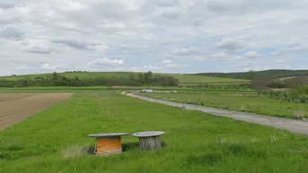 Expose Baugrund günstig zu erwerben!