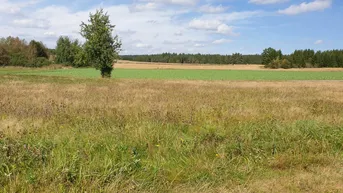 Expose Reingers -Türkenbühel