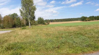 Expose Reingers -Türkenbühel