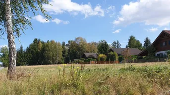 Expose Reingers -Türkenbühel
