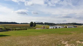Expose Leopoldsdorf West (1)