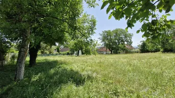 Expose RARITÄT - Einzigartiges Baugrundstück in Leonding – 896 m² für Ihr Eigenheim...!