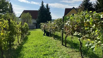 Expose 2 Baugrundstücke St. Anna am Aigen, Südsteiermark