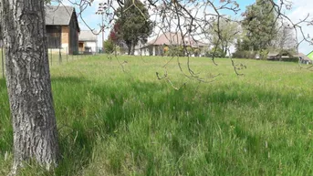 Expose Sonniges Baugrundstück im Südburgenland!