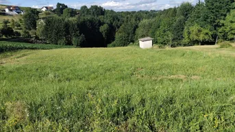 Expose Sonniges Grundstück mit Wiese und Wald in Ruhelage in der Thermenregion!