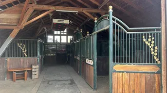 Innenansicht eines Stalls mit mehreren Pferdeboxen und sichtbaren Holzkonstruktionen im Dachbereich.