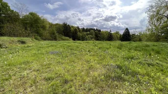 Expose Baugrundstück in Sinabelkirchen - Ruhig, sonnig &amp; zentrumsnah
