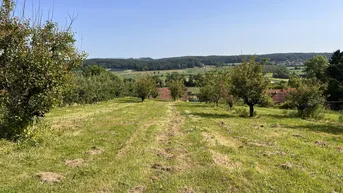 Expose Landwirtschaftliche Fläche mit Obstbaukulturen ca. 1,2 ha zu verkaufen.
