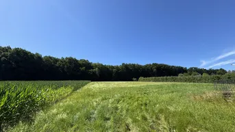 Expose Traumhaftes Baugrundstück in sonniger Lage – flexibel teilbar von ca. 900 m² bis 4.500 m²