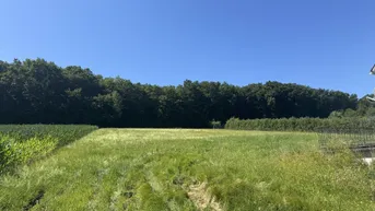 Expose Traumhaftes Baugrundstück in sonniger Lage – flexibel teilbar von ca. 900 m² bis 4.500 m²