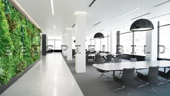 Expose Erstbezug modernes Büro im Betriebsgebiet mit Blick ins Grüne