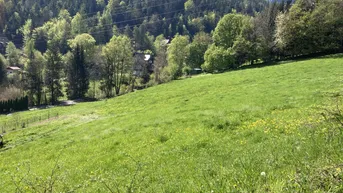 Expose Provisionsfrei - Baugrundstück 1220 m² u. 1557 m² in Küb 