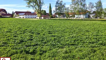 Expose IDYLLISCH gelegener BAUGRUND nahe Ortszentrum – auch für BAUTRÄGER