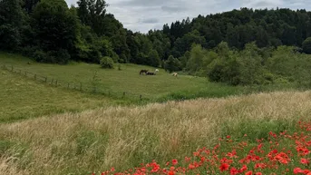 Expose Schönes, sonniges Grundstück in herrlicher Lage in Maria Rain