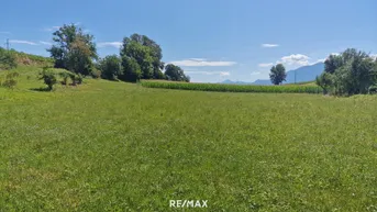 Expose Traumhaftes, ca. 3.109 m² großes Baugrundstück mit Blick auf die Karawanken im Bezirk Völkermarkt