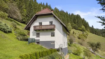 Expose Kleinlandwirtschaft mit Wohnhaus und Wirtschaftsgebäude in Unterpreitenegg im Oberen Lavanttal