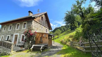 Expose Steinhaus (saniert) mit landwirtschaftlicher Fläche in idyllischer Aussichtslage - Scheune und viel Grundstück!