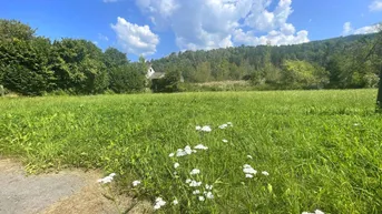 Expose Traumhaftes Baugrundstück in Rothenthurn Nähe Spittal/Drau – Berg- und Grünblick!