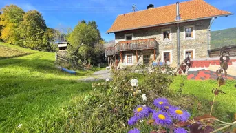 Expose Bauernhaus mit landwirtschaftlicher Fläche in idyllischer Aussichtslage - Scheune und viel Grundstück!