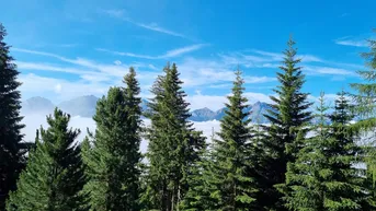 Expose Einfaches Holzhaus mit 5.5 Zimmern und Garten in Gebirgslage mit tollem Blick auf die Lienzer Dolomiten zu verkaufen!