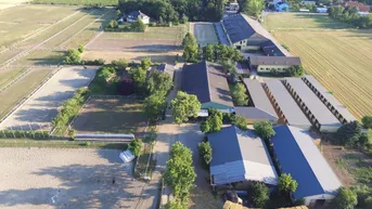 Expose Exklusive Reitsportanlage vor den Toren Wiens – 145 Boxen | Reithallen | Reitplätze | Koppeln | Villa &amp; Personalwohnungen