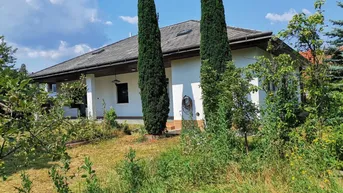 Expose GROSSES (ca. 850 m²) GRUNDSTÜCK MIT BUNGALOW IN RUHELAGE - UNWEIT VON WIEN!!!