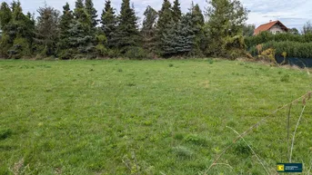 Expose Großes Baugrundstück in ruhiger Lage am Ortsrand im Wiener Becken!