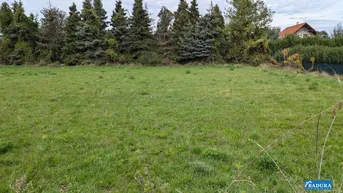 Expose Großes Baugrundstück in ruhiger Lage am Ortsrand im Wiener Becken!